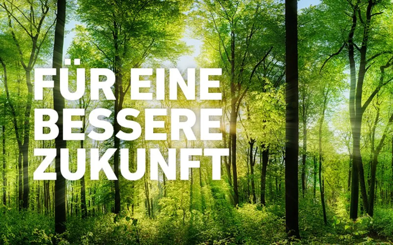 Umwelt und Nachhaltigkeit