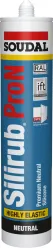 Silirub Pro N Grau 300ml