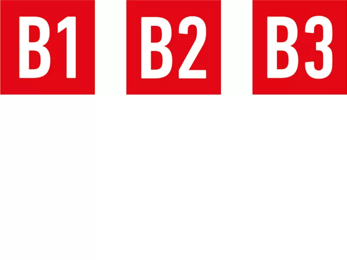 B1-3