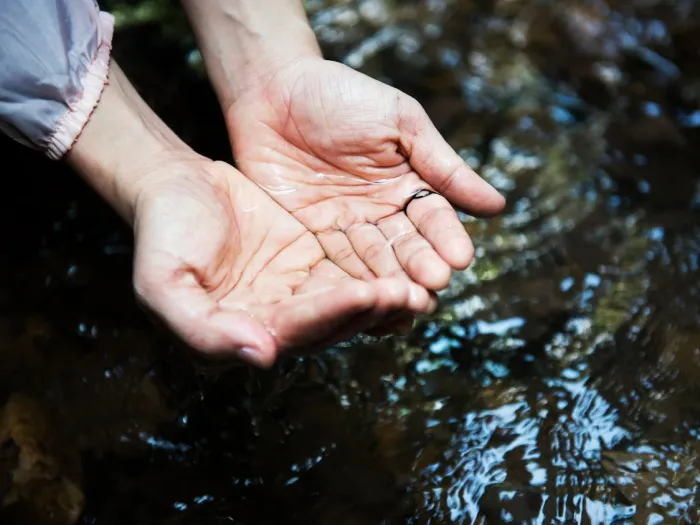 Abwasser