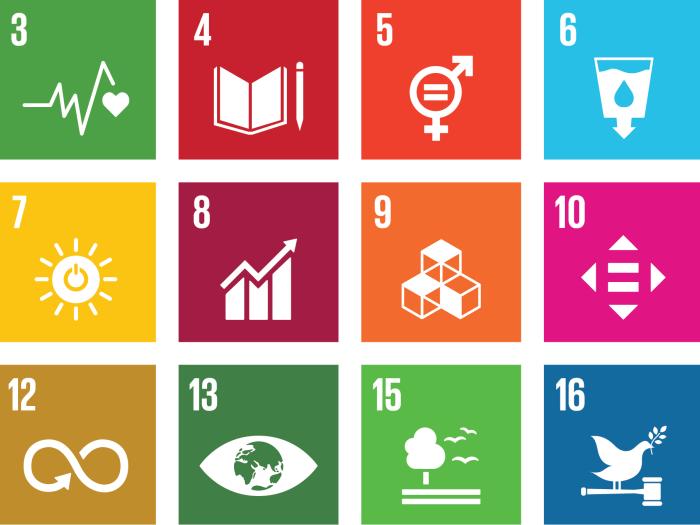 Sustainable Development Goals_all-Icons